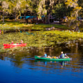 Community Groups in Tallahassee, FL: Focusing on Environmental Conservation and Sustainability